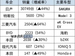 日本2024年EV销量：比亚迪超越丰田