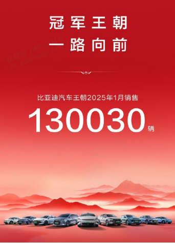 中国销冠 比亚迪2025年1 月销售超 30 万台505