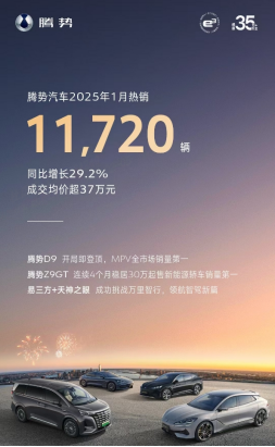 中国销冠 比亚迪2025年1 月销售超 30 万台1073